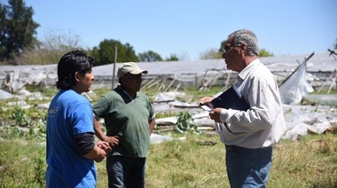 Temporal de La Plata: Articulan medidas para asistir a productores del cinturón flori-fruti-hortícola