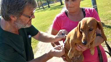 Campaña Veterinaria: Llega otra jornada a Plaza Sarmiento y se suma un nuevo punto de atención en Barrio Savoia