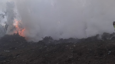 Denuncian incendio en un basural a cielo abierto de Berisso