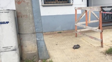 Corte de energía en La Loma por un transformador que explotó: Una paloma hizo puente entre dos fases