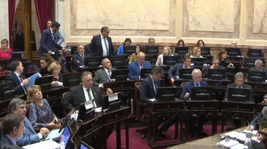 El Senado convirtió en ley la prórroga y ampliación de la Emergencia Alimentaria