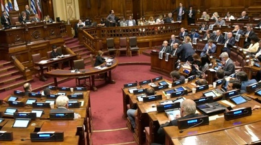 Organizado por la Cátedra Artigas de la UNLP, se debate en Montevideo la problemática ambiental global