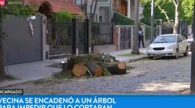 En Devoto: Una orden judicial hace talar nogal centenario, mujer se resiste y la llevan presa