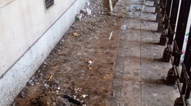 Docentes de tradicional escuela platense trabajan entre “caca de palomas y piojillos”