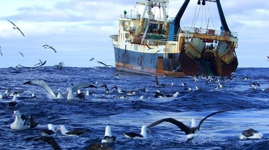Greenpeace: "Entre 100 y 300 millones de personas podrían verse amenazadas si la crisis de los océanos continúa"