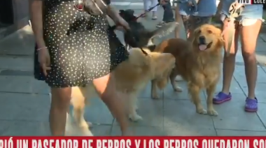 Murió un cuidador de perros y las mascotas quedaron solas