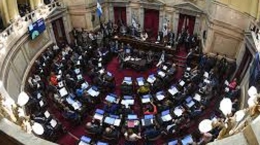Senadores de Cambiemos propusieron suspender por 180 días los aumentos de las dietas