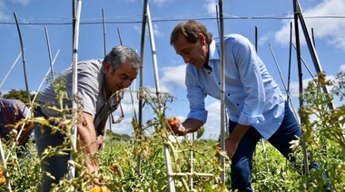 Garro visitó a productores de tomates antes del comienzo de la gran fiesta del sector