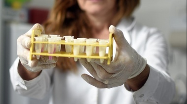 La UNLP comenzará a realizar test para detectar coronavirus