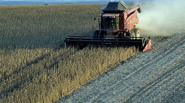 Con reservas hídricas adecuadas, se esperan lluvias de poca cantidad en los campos bonaerenses