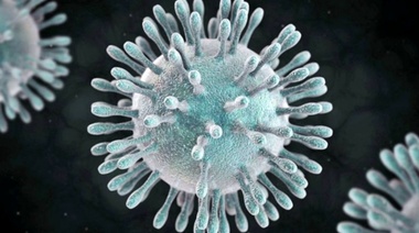 En La Plata buscarán eliminar coronavirus con luz ultravioleta en transportes públicos