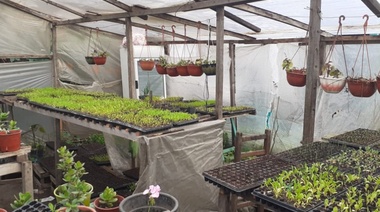 Generar empleo cuidando el medio ambiente y alimentando sano