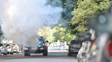 Los casos de dengue confirmados en el país ascienden a 54.870, el mayor registro histórico