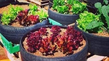 La importancia de la ecología en función de una economía circular