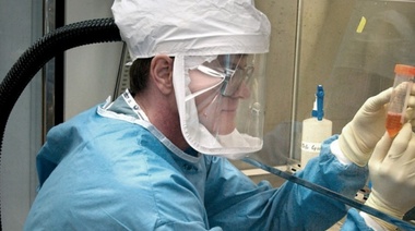 Estado brasileño limítrofe con la Argentina entra en cuarentena tras récord de casos de coronavirus