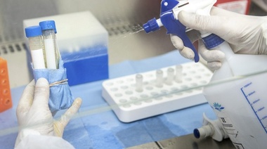 La Ciencia y tecnología pone la otra mejilla