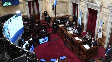 El Senado convirtió en el ley el plan de moratoria impositiva