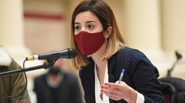 JxC pide a Berni que autorice y equipe a policías platenses para usar armas Taser