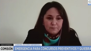 El Senado está condiciones de sancionar las modificaciones a la Ley de Quiebras, luego del avance en comisión