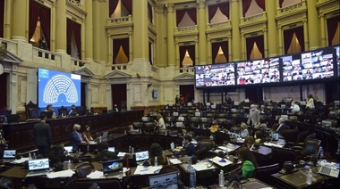 Diputados debate la "Ley Yolanda" para la formación integral en medio ambiente
