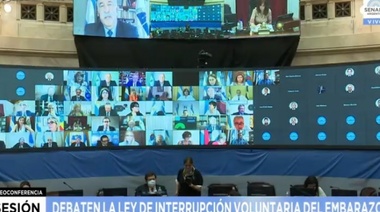 Comenzó la histórica sesión especial en el Senado por la legalización del aborto