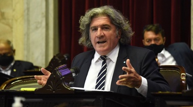 ¿Y para la gente común?: El Interbloque Unidad para el Desarrollo propone que se vacune "a la brevedad" a todos los diputados