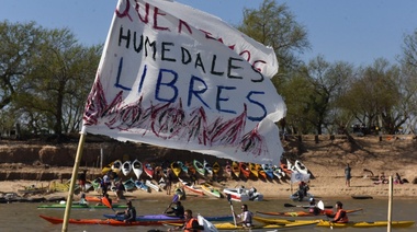 Greenpeace exige que este año se sancione la Ley de Humedales