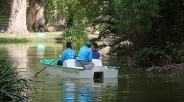 Realizan tareas de saneamiento y renovación en el lago del Paseo del Bosque