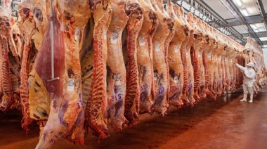 Cierre de exportaciones: En La Plata la industria frigorífica en alerta y 800 familias expectantes