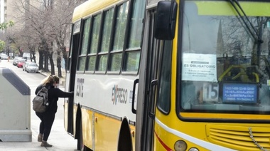 Museos a la Luz de la Luna: el transporte público platense será gratuito con inscripción previa