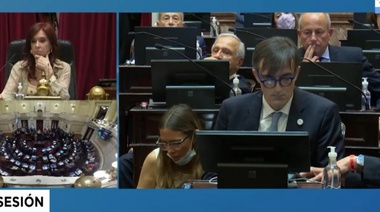 Bullrich renunció a su banca con una carta que conmovió al Senado