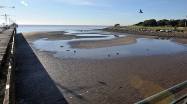 Piden evitar entrar en contacto con el río de La Plata por presencia de cianobacterias