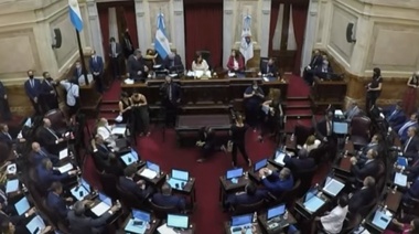 El Senado debate el acuerdo con el Fondo Monetario Internacional
