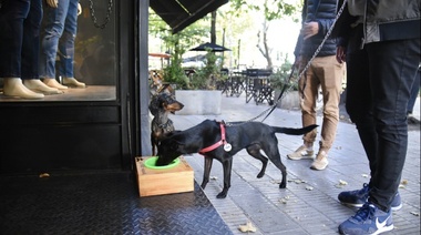 El municipio instaló bebederos para mascotas en paseos comerciales