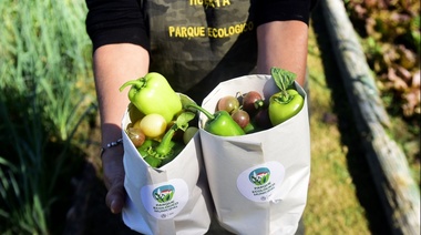 Junio en el Parque Ecológico: la agenda completa de actividades