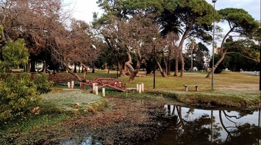 Jornada inestable con probabilidad de lluvias y una máxima de 20 grados en AMBA