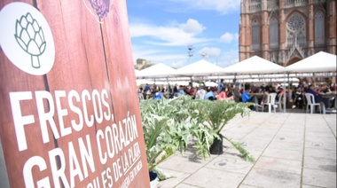 Con música en vivo, clases de cocina y degustaciones, se viene la gran fiesta del Alcaucil platense