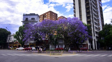 Martes con pocas nubes y una temperatura máxima de 26 grados en AMBA