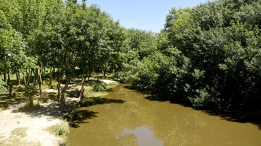 Municipio platense ratificó prohibición de construcciones privadas en humedal del Arroyo El Pescado