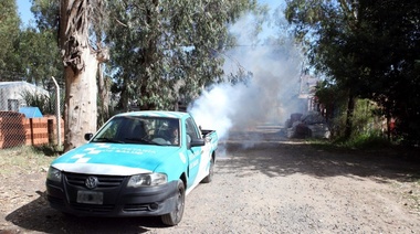 Fumigación, concientización y descacharreo: la campaña #AnuloDengue llega a nuevos barrios