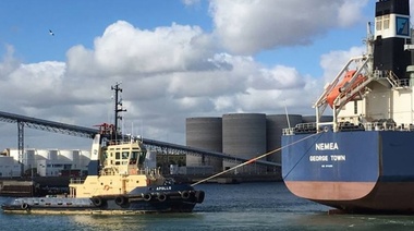 El puerto de Quequén exportó durante enero más de 587.000 toneladas de granos