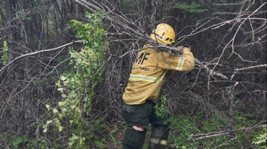 Focos activos de incendios forestales en Corrientes, Entre Ríos y Chubut