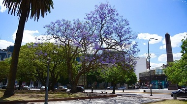Ante la persistencia de temperaturas elevadas, se extiende el nivel de alerta ‘Amarillo’ en La Plata