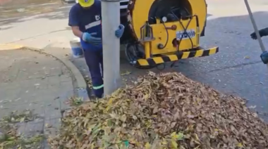 En La Plata, con camiones especiales continúan los operativos de limpieza de hojarasca