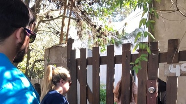 Dengue, gripe aviar y moscas: se intensifican las campañas de prevención en el corredor frutihortícola