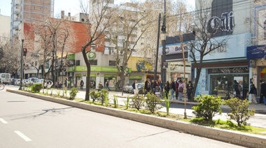 Identidad platense y forestación: la avenida 7 sumó casi un centenar de nuevos tilos