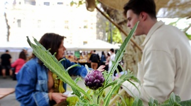 La Fiesta del Alcaucil llega a Los Hornos con platos típicos, clase de cocina y shows en vivo