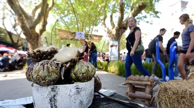 Fiesta del Alcaucil Hornense, Cafeteamo’, La Plata Celebra y más planes para este finde