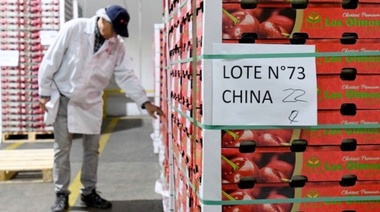 Exportaciones a China de productos chilenos diferentes al cobre y litio crecen 12,3% entre enero y septiembre