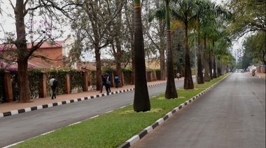 Restaurar los bosques nativos, la nueva misión ambiental en Ruanda
